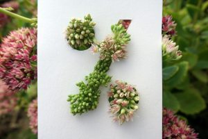 A percent sign made of flowers on a white piece of paper